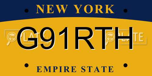 G91RTH New York License Plate