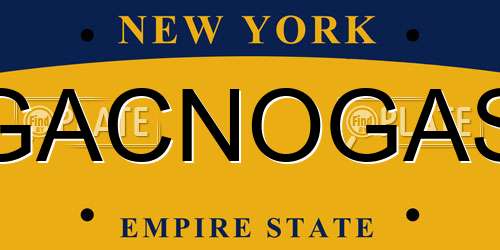 GACNOGAS New York License Plate