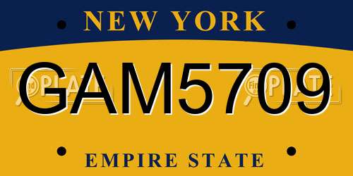 GAM5709 New York License Plate