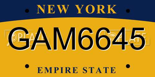 GAM6645 New York License Plate