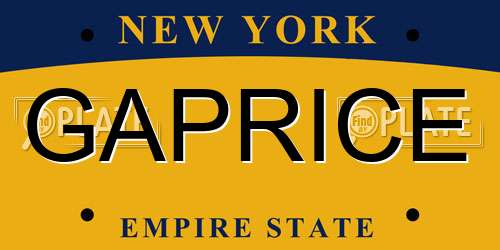 GAPRICE New York License Plate