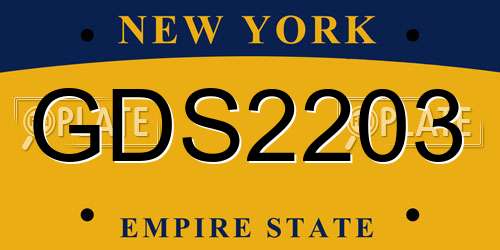 GDS2203 New York License Plate