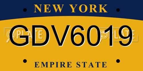 GDV6019 New York License Plate