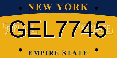GEL7745 New York License Plate