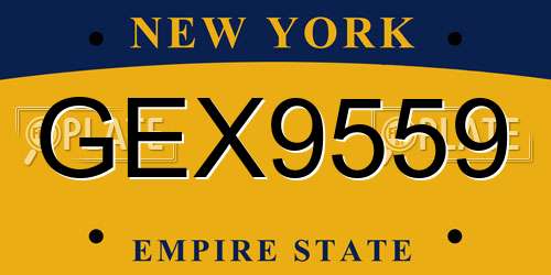 GEX9559 New York License Plate