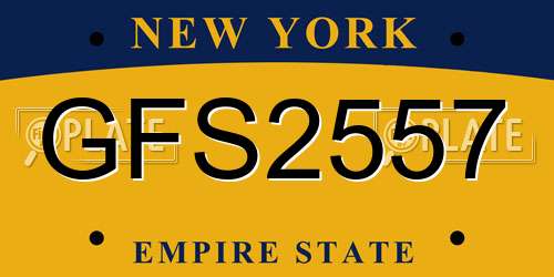 GFS2557 New York License Plate