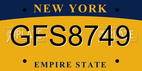 GFS8749 New York License Plate