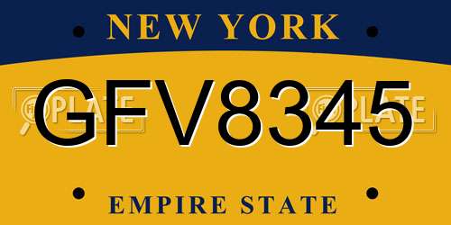 GFV8345 New York License Plate