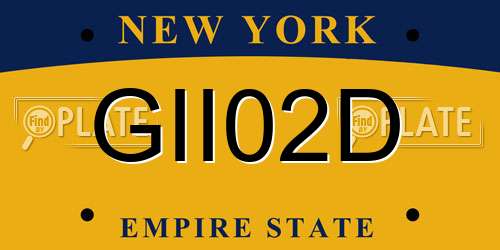 GII02D New York License Plate