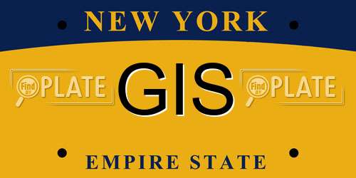 GIS New York License Plate