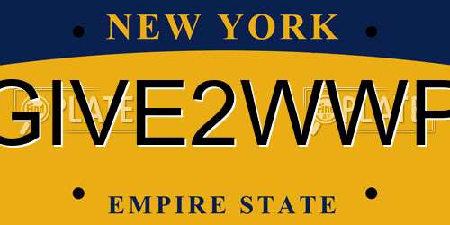 GIVE2WWP New York License Plate
