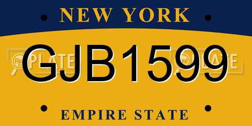 GJB1599 New York License Plate