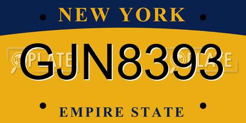 GJN8393 New York License Plate