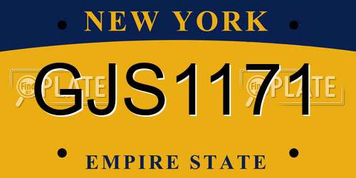GJS1171 New York License Plate