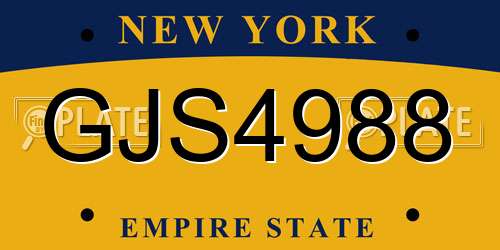 GJS4988 New York License Plate
