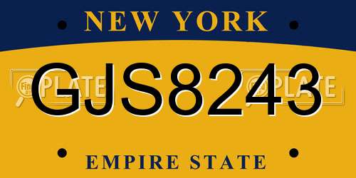 GJS8243 New York License Plate