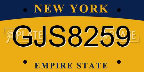 GJS8259 New York License Plate