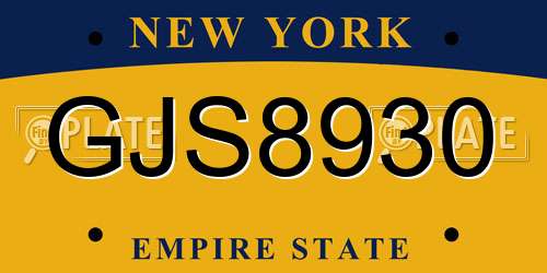 GJS8930 New York License Plate
