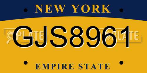 GJS8961 New York License Plate