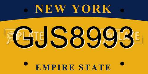 GJS8993 New York License Plate
