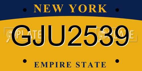GJU2539 New York License Plate