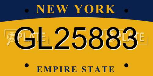 GL25883 New York License Plate