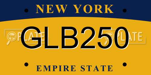 GLB250 New York License Plate