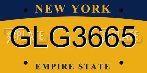 GLG3665 New York License Plate