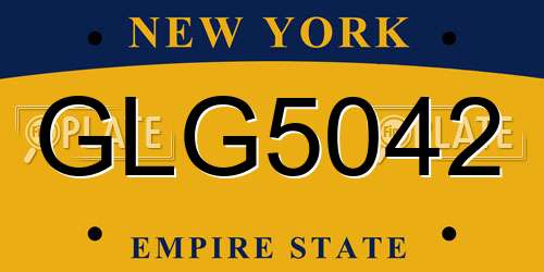 GLG5042 New York License Plate