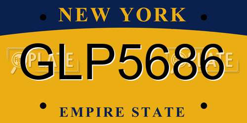 GLP5686 New York License Plate