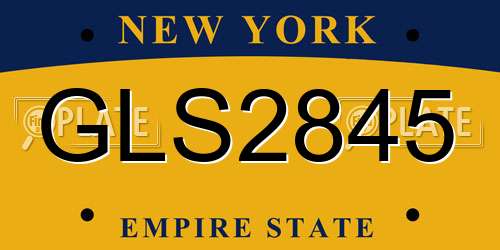 GLS2845 New York License Plate