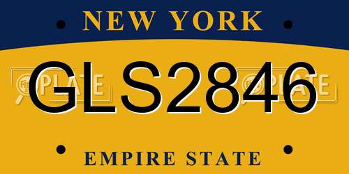 GLS2846 New York License Plate
