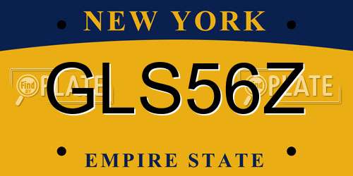GLS56Z New York License Plate