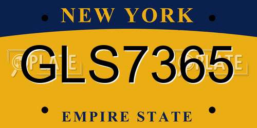 GLS7365 New York License Plate
