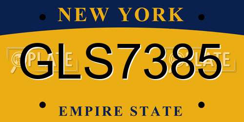 GLS7385 New York License Plate