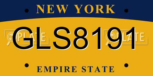 GLS8191 New York License Plate