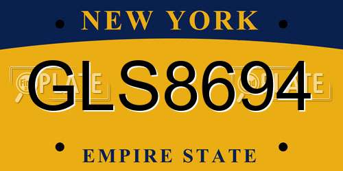 GLS8694 New York License Plate