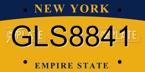 GLS8841 New York License Plate
