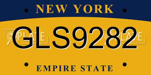 GLS9282 New York License Plate