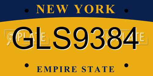 GLS9384 New York License Plate
