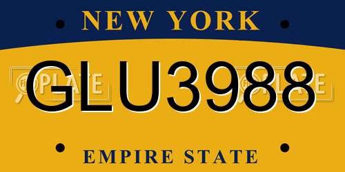 GLU3988 New York License Plate