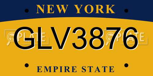 GLV3876 New York License Plate