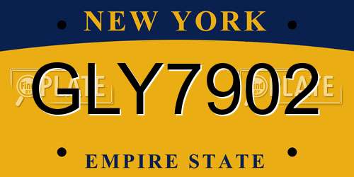 GLY7902 New York License Plate