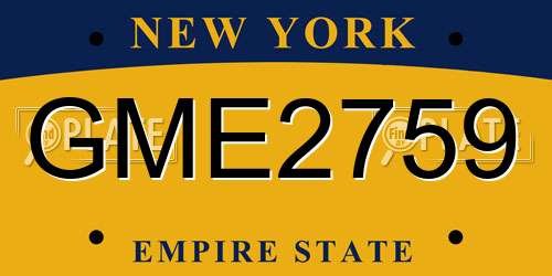 GME2759 New York License Plate