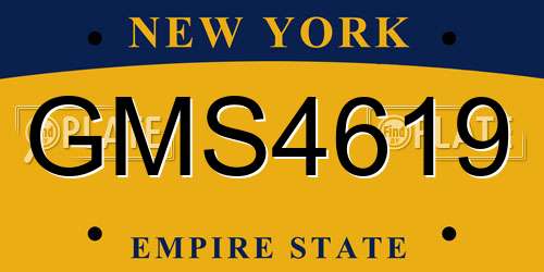 GMS4619 New York License Plate