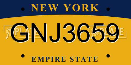 GNJ3659 New York License Plate