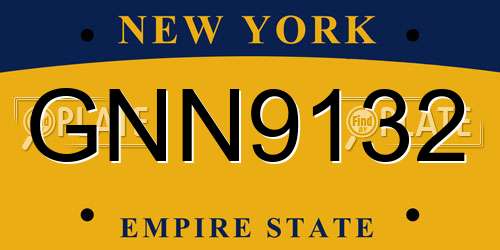 GNN9132 New York License Plate