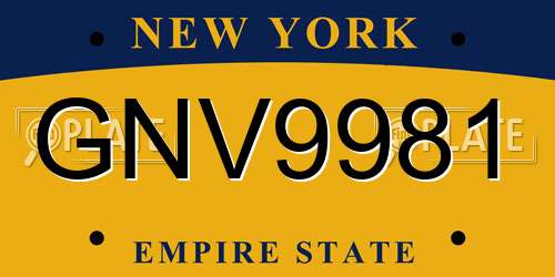 GNV9981 New York License Plate
