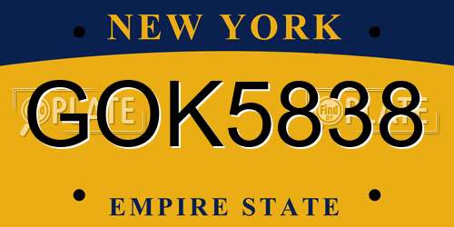 GOK5838 New York License Plate