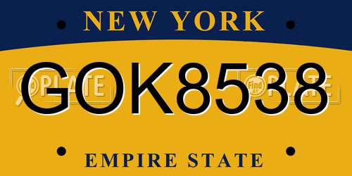 GOK8538 New York License Plate